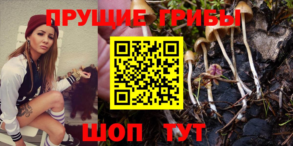 Мценск  Псилоцибиновые грибы Psilocybe  Галлюциногенные грибы GOLDEN TEACHER  Вход с VPN 
